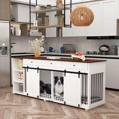 two dogs are sitting in their kennels at the kitchen island, which is built into the floor