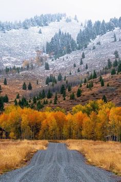 a dirt road in the middle of an open field with trees and mountains behind it