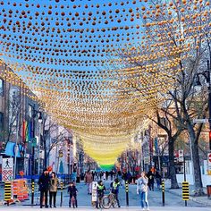 many people are walking down the street with oranges hanging from it's ceiling