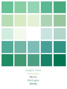 the cover of jungle pool's white montana dormy album, featuring green squares