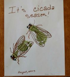 two green bugs on top of a piece of paper with the words it's cicada season