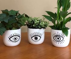 three planters with plants in them sitting on a table