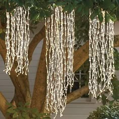 some white lights hanging from a tree in front of a house