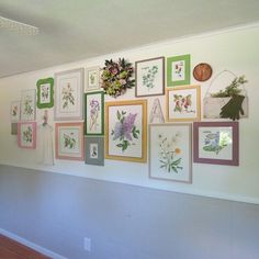 there are many framed pictures on the wall in this room, and one is displaying flowers