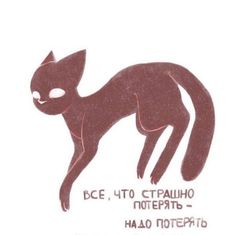 an image of a black cat with words in russian