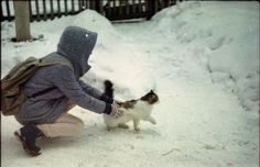 a person kneeling down petting a small cat in the snow on a snowy day