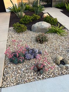 a garden with rocks and plants in it