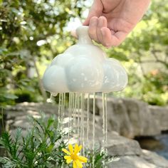 a hand is pouring water on some flowers