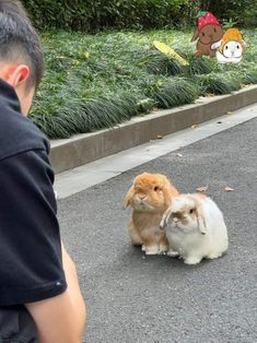 two small rabbits sitting on the ground in front of a man