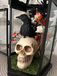 a skull with a crow sitting on top of it next to a fake human skull