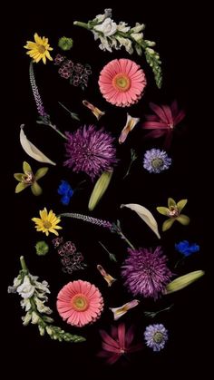 an arrangement of flowers on a black background