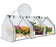 three greenhouses with plants inside and one in the middle