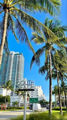 palm trees line the street in front of hotels and condos on miami's west side