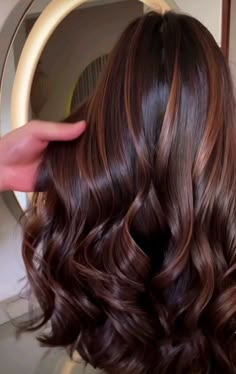 Classy Hair Color, Hazelnut Hair Color, Hazelnut Hair, Hair Color Brown Chestnut, Hair Color For Brown Skin, Dark Fall Hair Colors, Highlights For Dark Brown Hair, Dark Fall Hair, Color For Black Hair