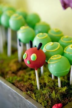 there are many green and red cake pops on the sticks in the shape of caterpillars