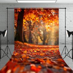 an autumn scene with leaves on the ground in front of a brick wall and lighting equipment