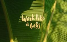 the words work like a boss written on a banana leaf