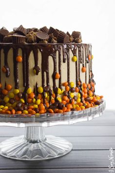 a cake with chocolate icing and candy on top