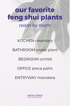 an advertisement for a restaurant called the kitchen room by room, featuring green leaves and text that reads our favorite fenng shui plants