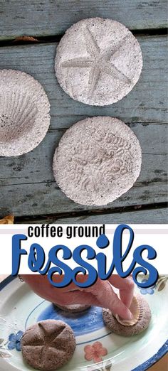 coffee ground fossiles on a plate with text overlay