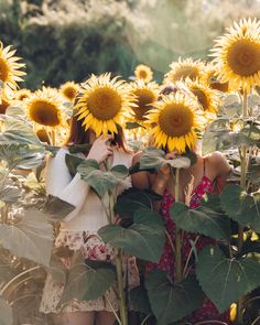 a woman standing in a field of sunflowers with her hands on her face