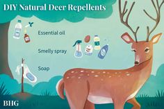 a deer standing in front of a forest filled with soaps and lotion bottles