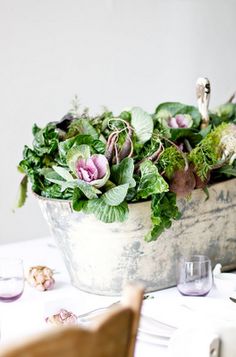 a potted plant sitting on top of a white table next to a wooden chair