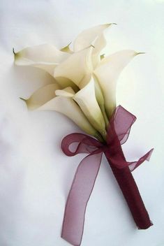 a bouquet of white flowers with a red ribbon on the end is laying on a white surface