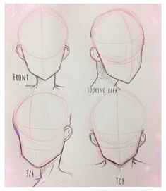 a drawing of the head and shoulders of a person with different angles to each side