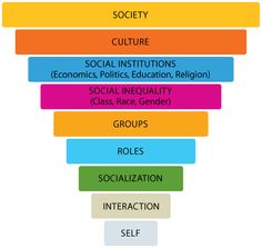 the seven levels of social interaction in an organization, including social and cultural activities that are important