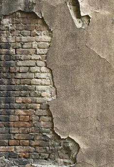 Damaged Cement Brick Backdrop for Photo Booth G-60 Brick Wall Photography, Brick Backdrop, Brick Wall Backdrop, Brick Backdrops, Wall Photography, Muslin Backdrops, Studio Backdrops, Wall Backdrops, Custom Backdrop