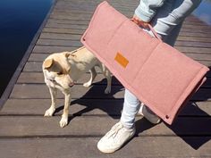 a dog standing on top of a wooden dock next to a person holding a pink chair