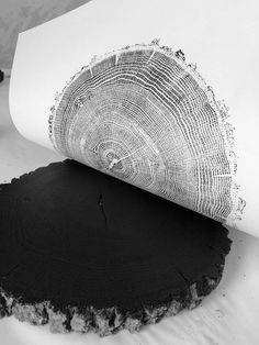 a black and white photo of a piece of wood