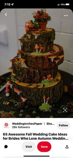 an image of a wedding cake made out of tree stumps and flowers on instagram