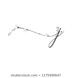 a black and white photo of a branch with flowers on it's end, against a white background