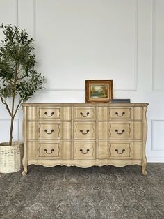 a white dresser with drawers and a potted tree in front of it on the floor