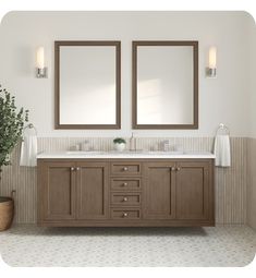 a bathroom with two mirrors above the sinks and a potted plant next to it