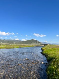 a river running through a lush green field under a blue sky with white puffy clouds