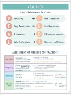 an info sheet with different types of words