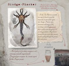 an old book with pictures and text on the page, including images of sea creatures