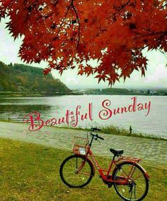 a red bike parked next to a lake under a tree with the words beautiful sunday written on it