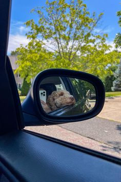 a car mirror reflecting a teddy bear in it's side view mirror with trees in the background