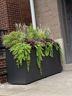 a planter filled with lots of green plants on the side of a brick building