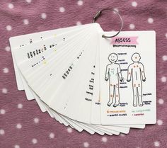 four identification cards on a purple blanket with white dots and pink polka dotes, each containing an individual's body