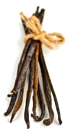 vanilla sticks tied up with twine against a white background for use as an image