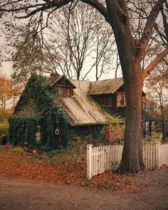 an old house with ivy growing on it's roof next to a white picket fence