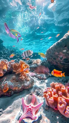 an underwater scene with corals and starfish