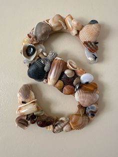 the letter s is made out of seashells and other sea shells on a wall