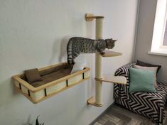 a cat standing on top of a scratching post