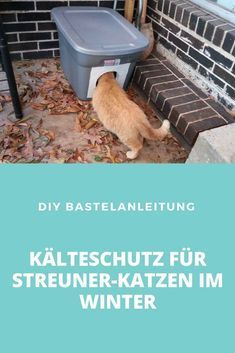 an orange cat standing next to a trash can on the steps in front of a house